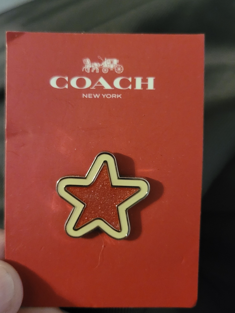 New COACH bag Pin